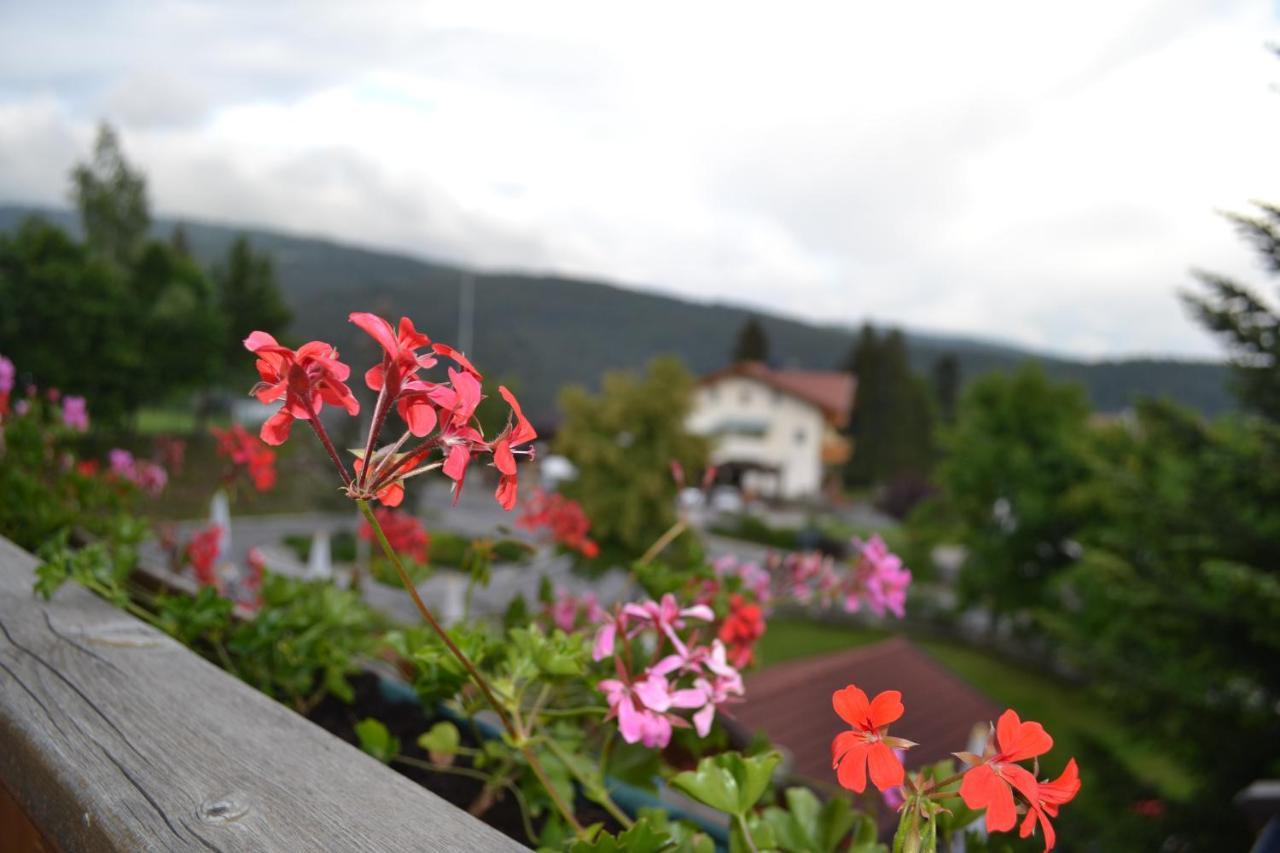 Gasthof zum Grünen Baum Verano Exterior foto
