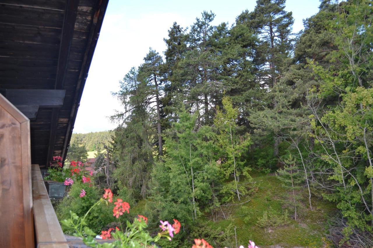 Gasthof zum Grünen Baum Verano Exterior foto
