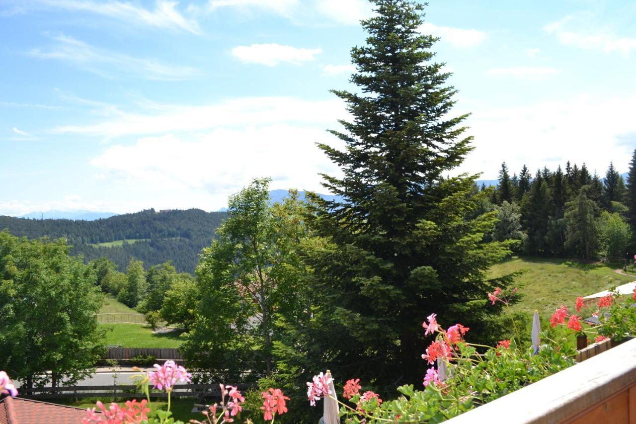 Gasthof zum Grünen Baum Verano Exterior foto